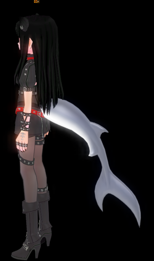 鯊魚尾巴(1年).png